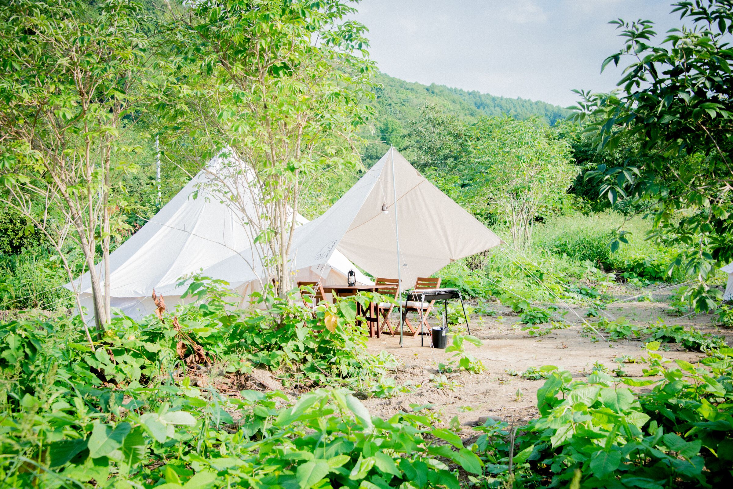 Yoichi Vineyard Glamping