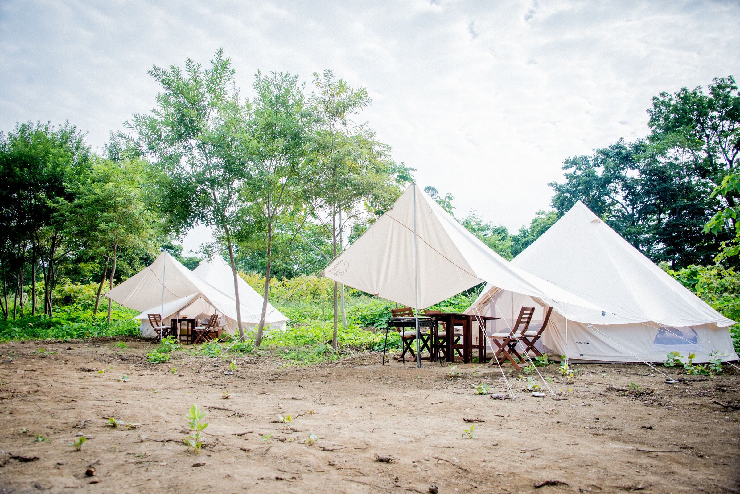Yoichi Vineyard Glamping