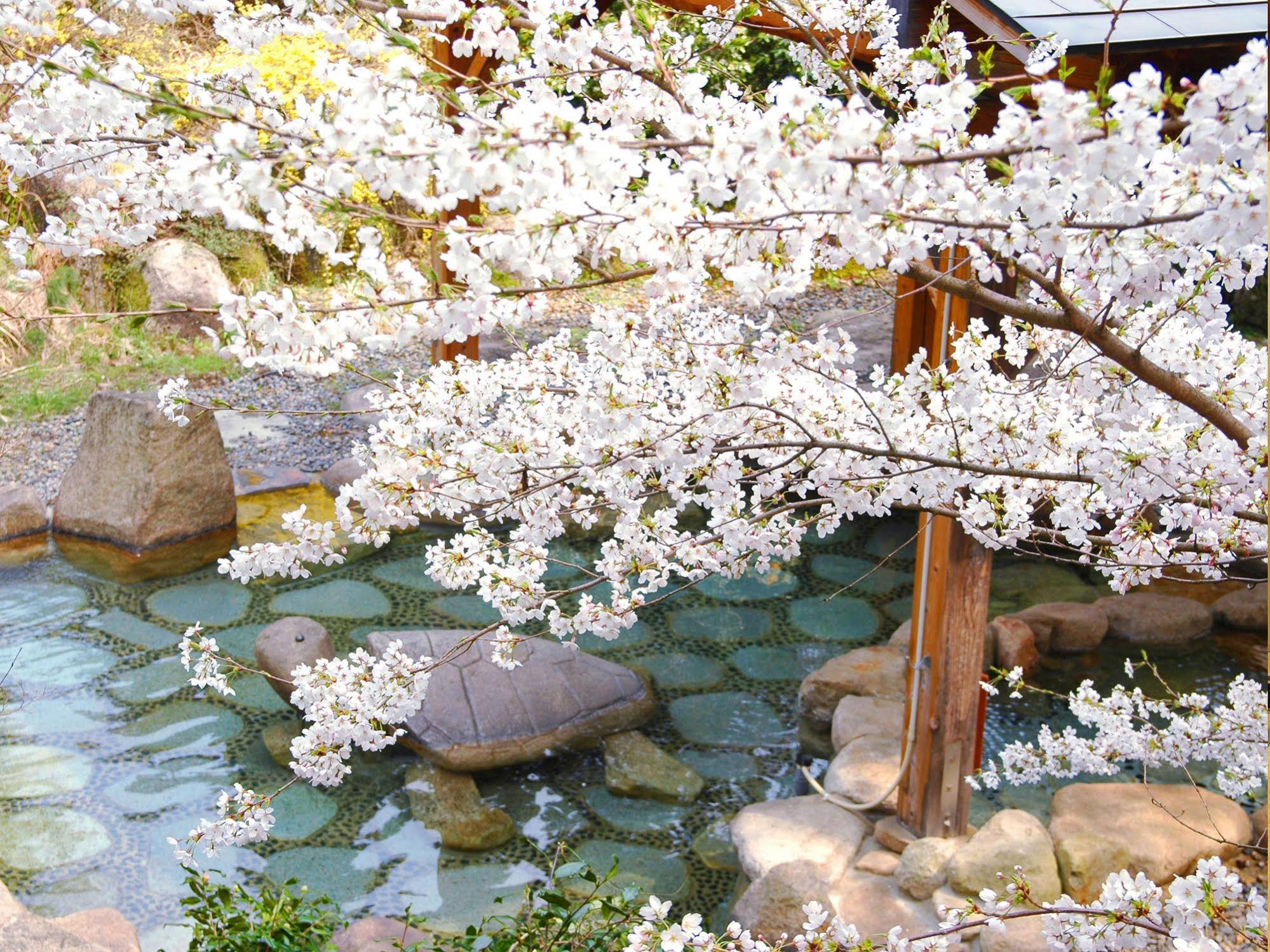 Fuga No Yado Chouseikan