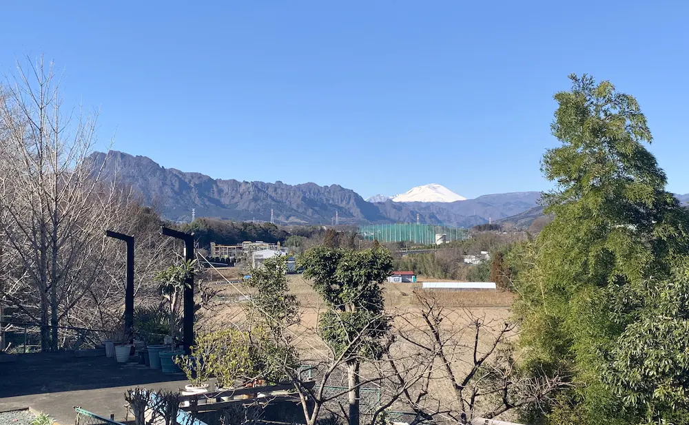Mitsuba House