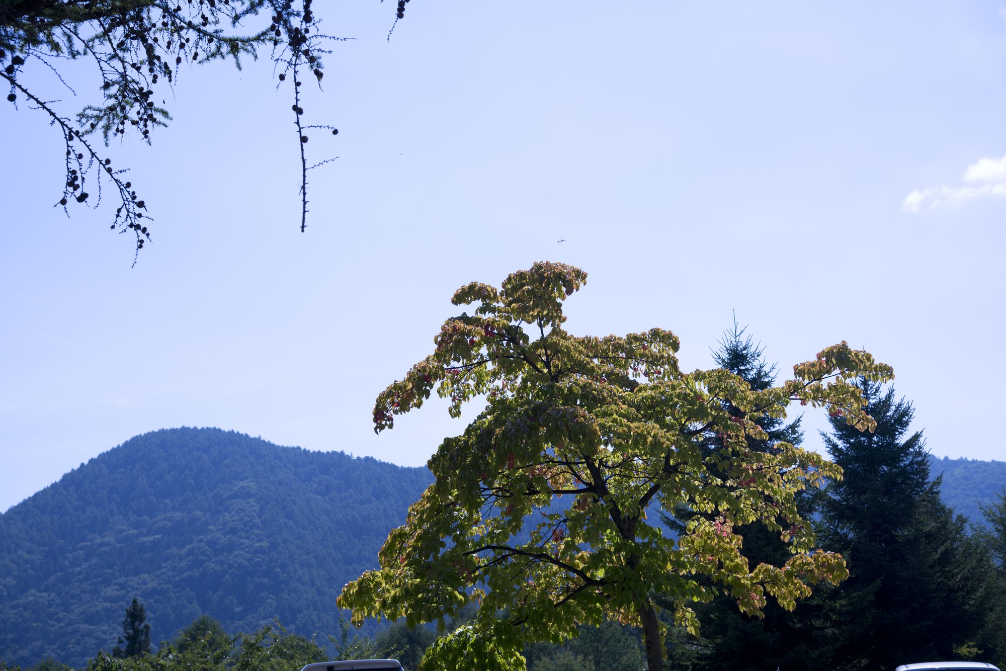 Azumino Hotaka View Hotel