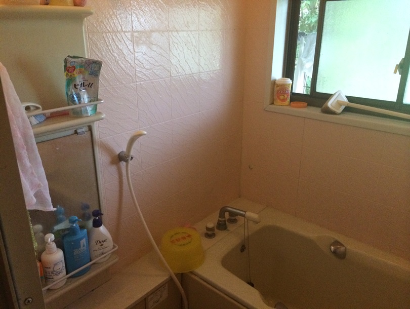 Matsunoki Hotaka Ariake