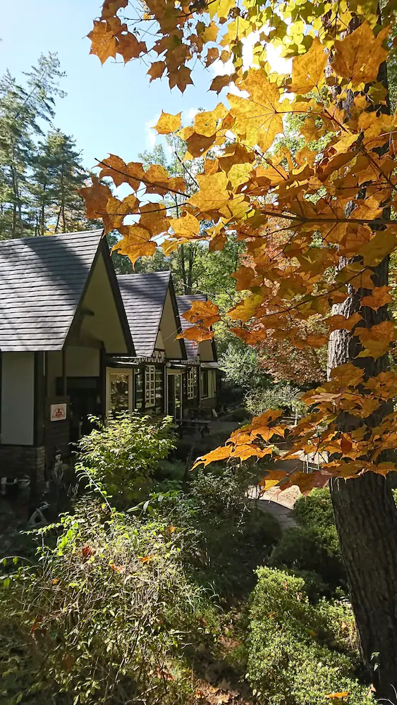 Pension Maple Leaf