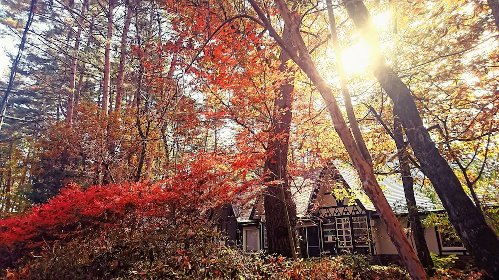 Pension Maple Leaf