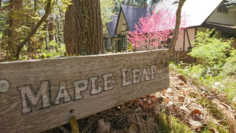Pension Maple Leaf