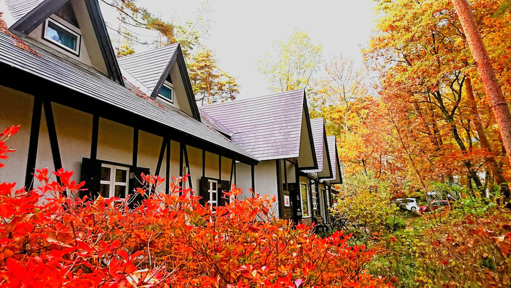 Pension Maple Leaf