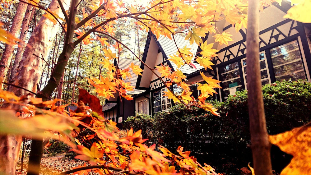 Pension Maple Leaf