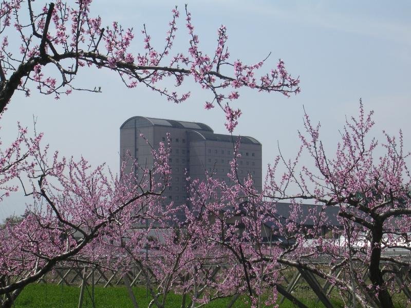 Hotel Kasugai