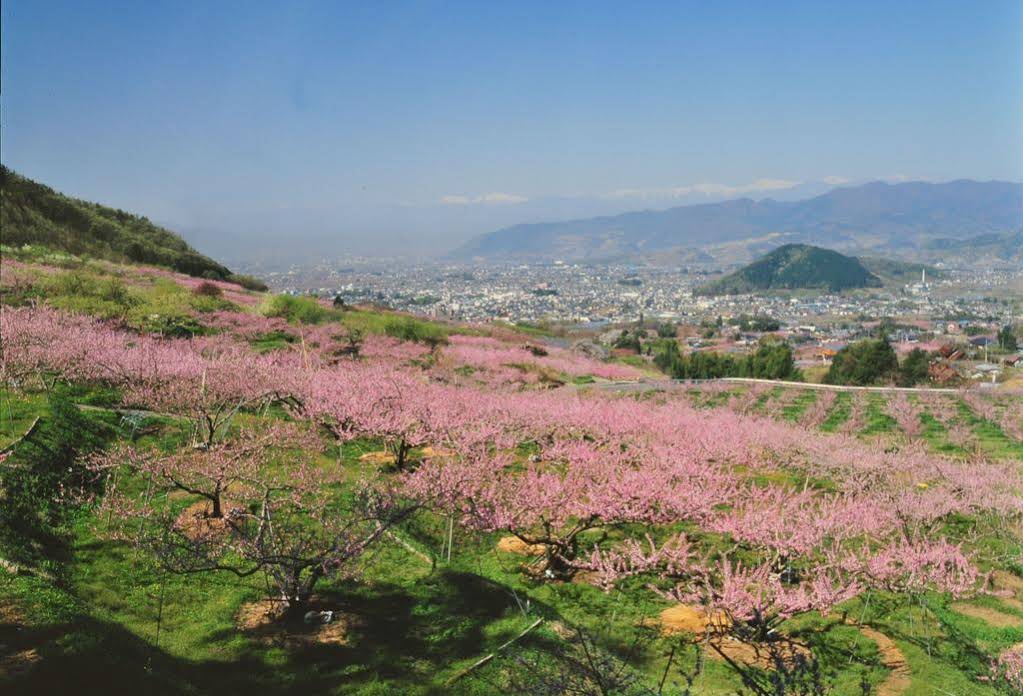 Isawa Central