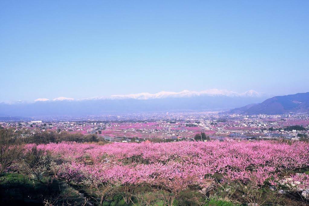 Isawa Central