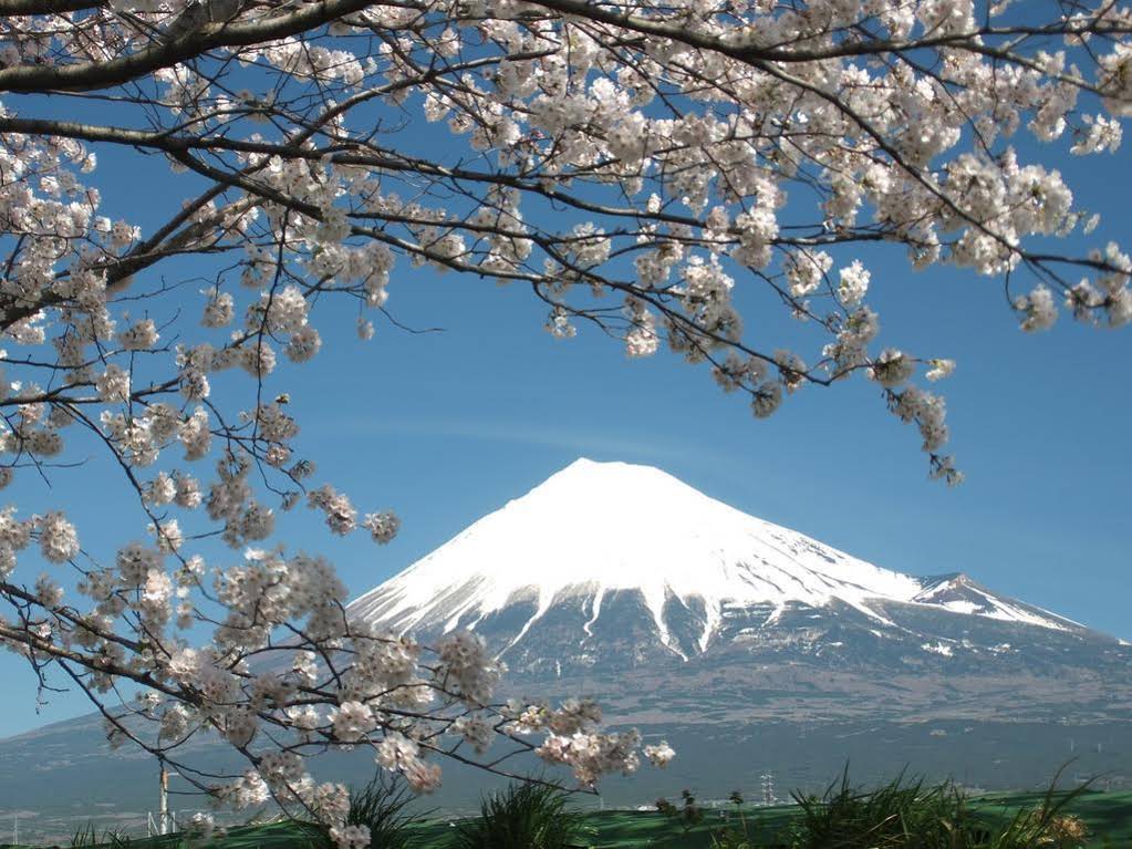 Fuji Furuiya