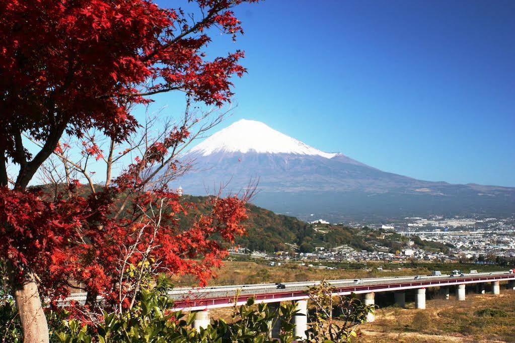 Fuji Furuiya