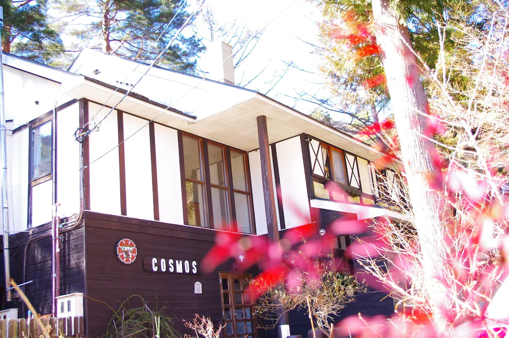 Forest Resort Cosmos