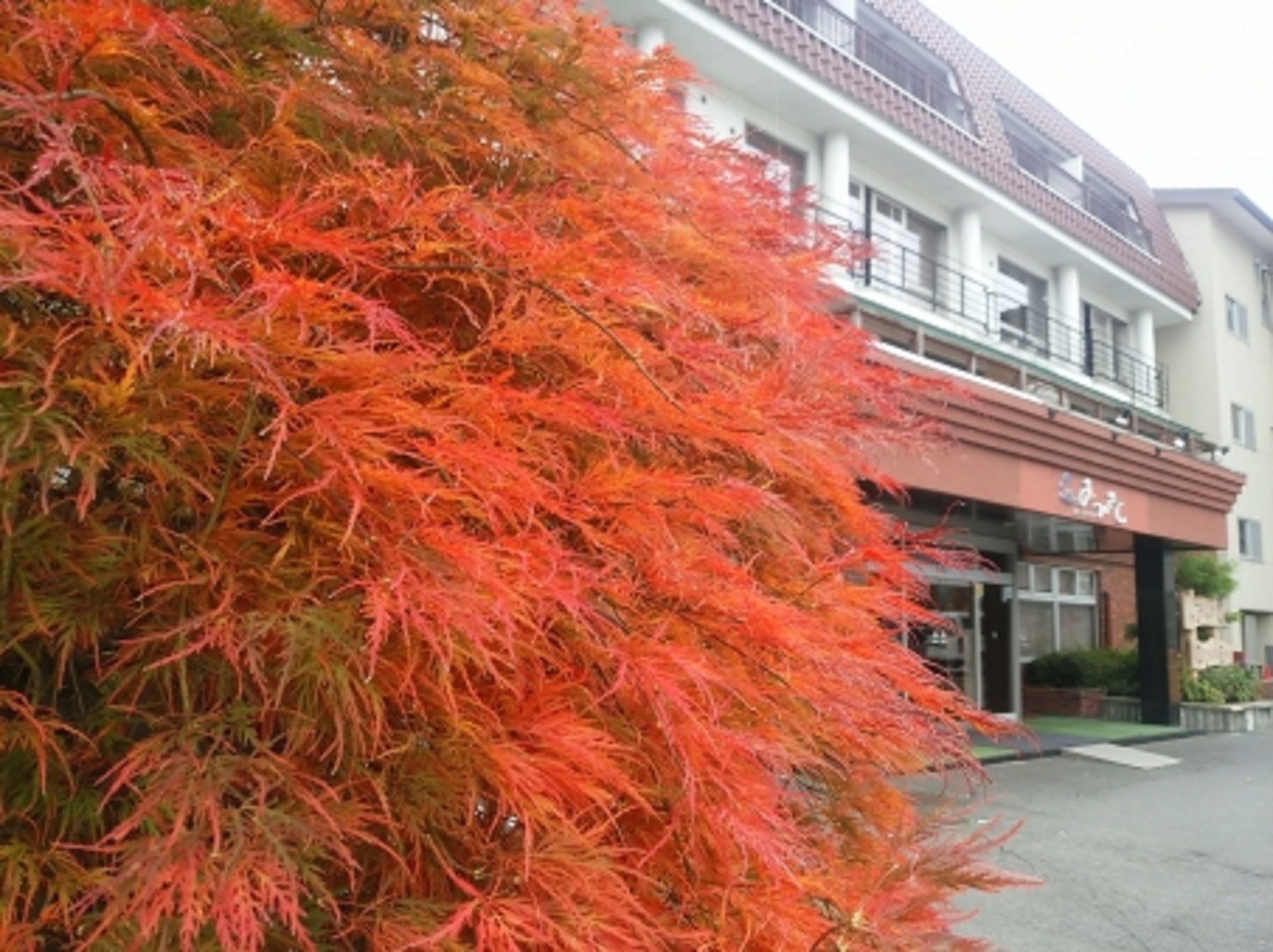 Lakeland Hotel Mizunosato