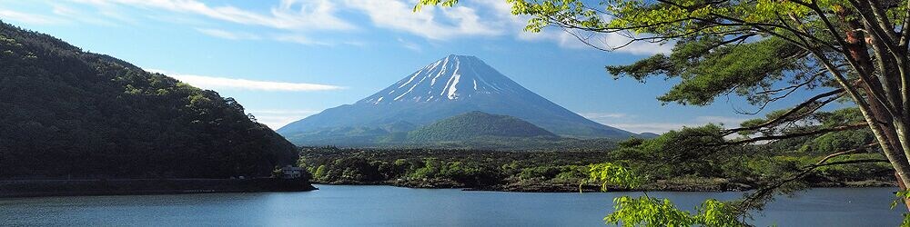 Shoji Lake Hotel
