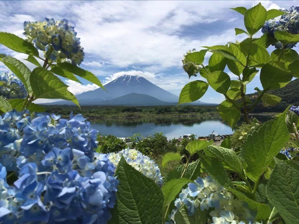 Shoji Mount Hotel