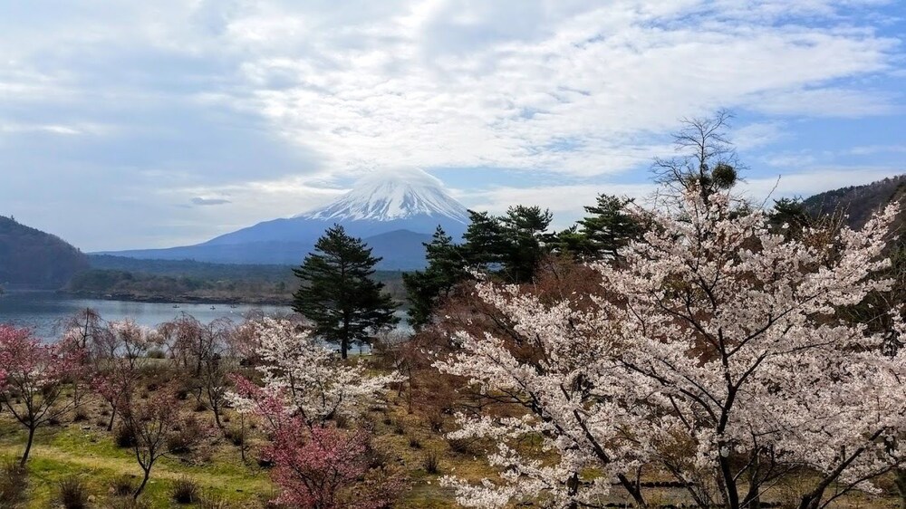 Shoji Mount Hotel