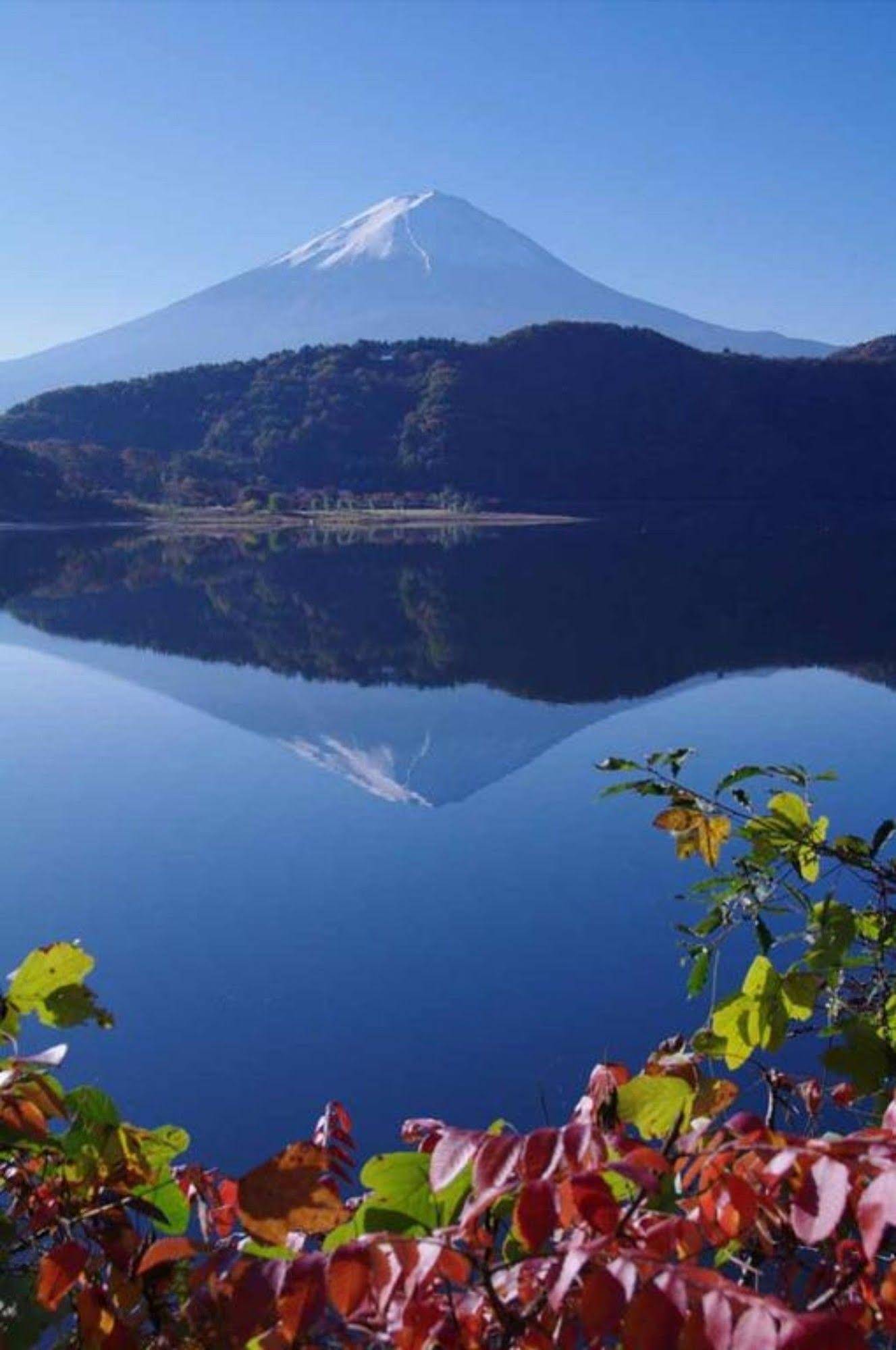 Villa Lupinus Kawaguchiko