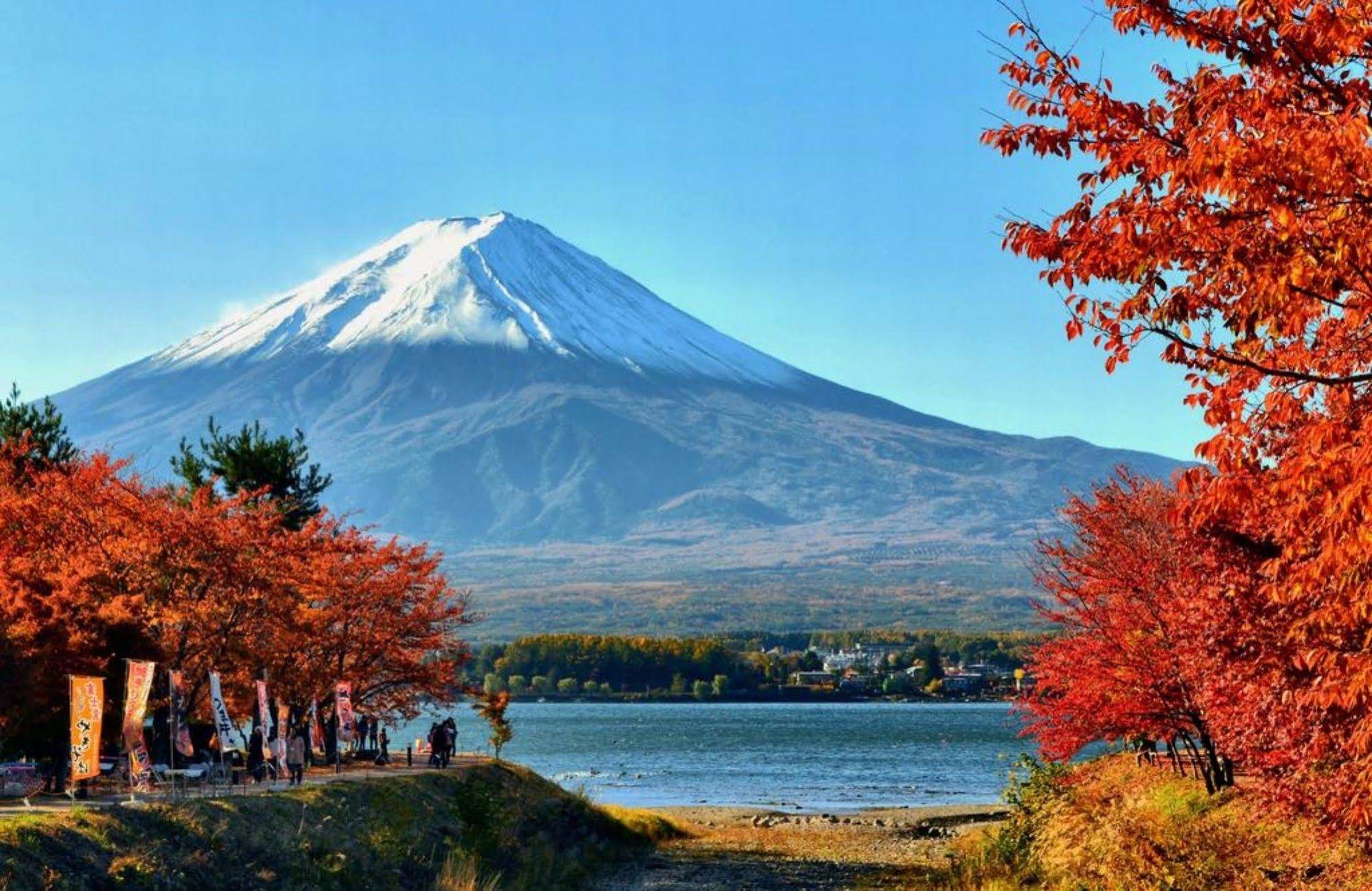 Villa Lupinus Kawaguchiko