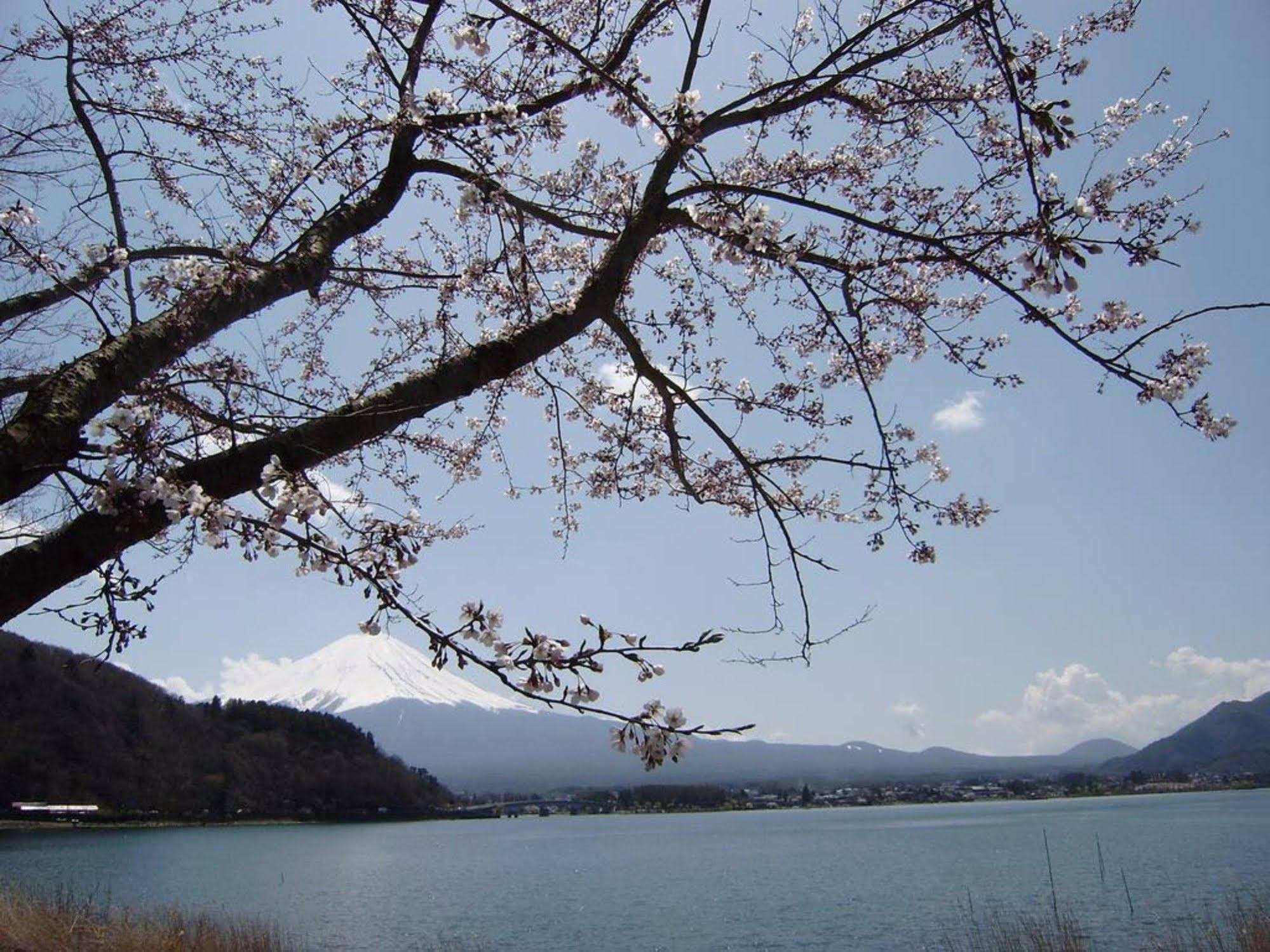 Villa Lupinus Kawaguchiko