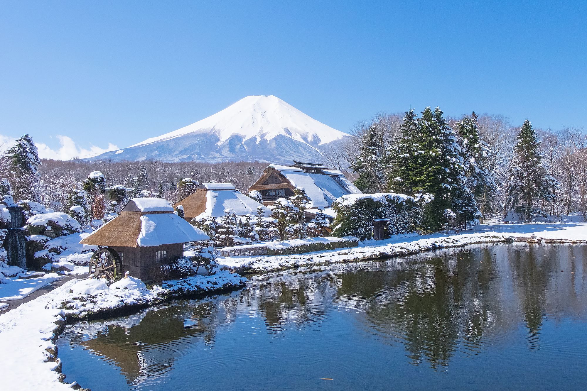 HOTEL MYSTAYS Fuji Onsen Resort