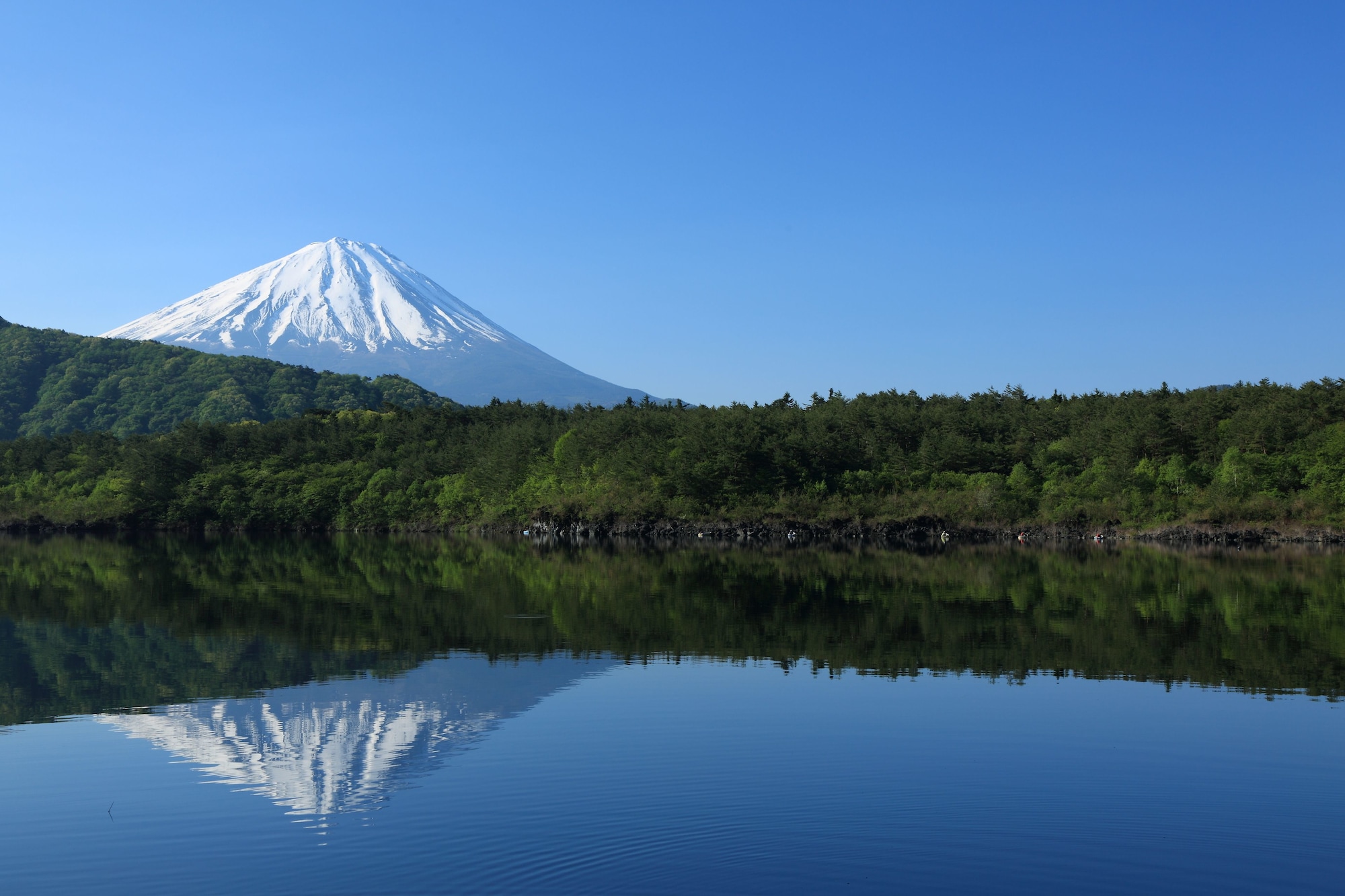 HOTEL MYSTAYS Fuji Onsen Resort