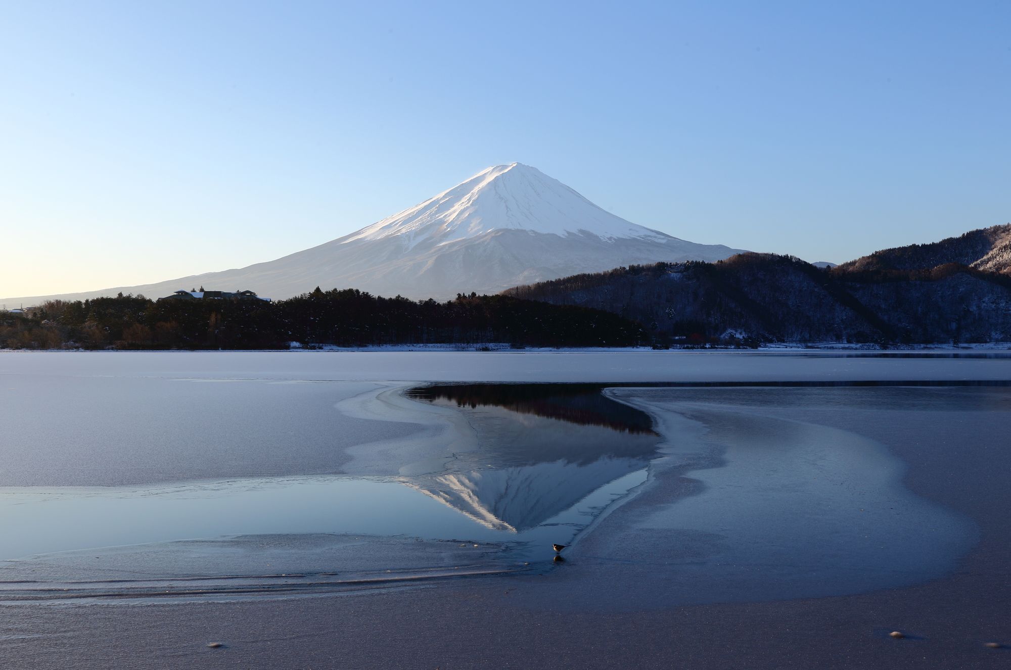 HOTEL MYSTAYS Fuji Onsen Resort