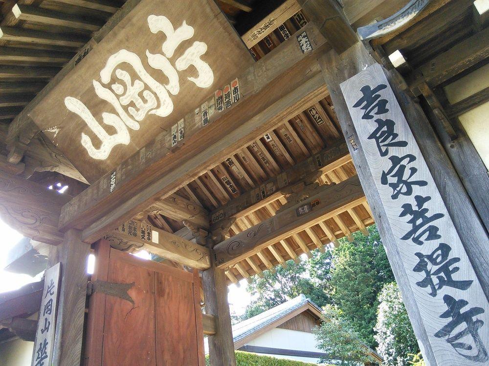 Aoi