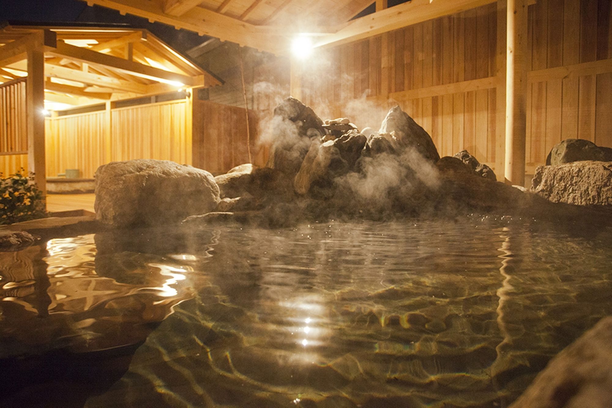 Appi Kogen Onsen Hotel