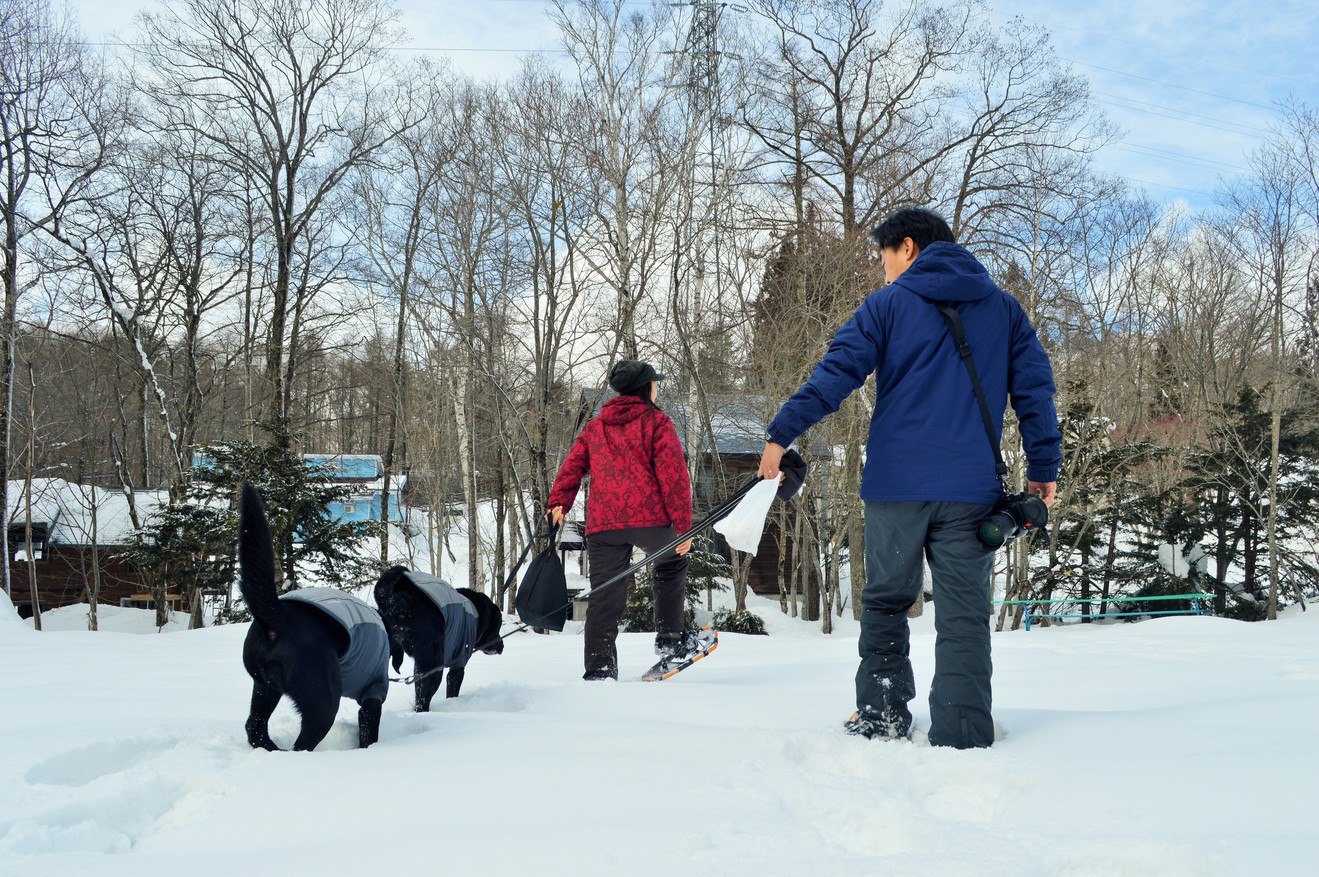 Dog-friendly Inn Hakuba Pension Alyeska
