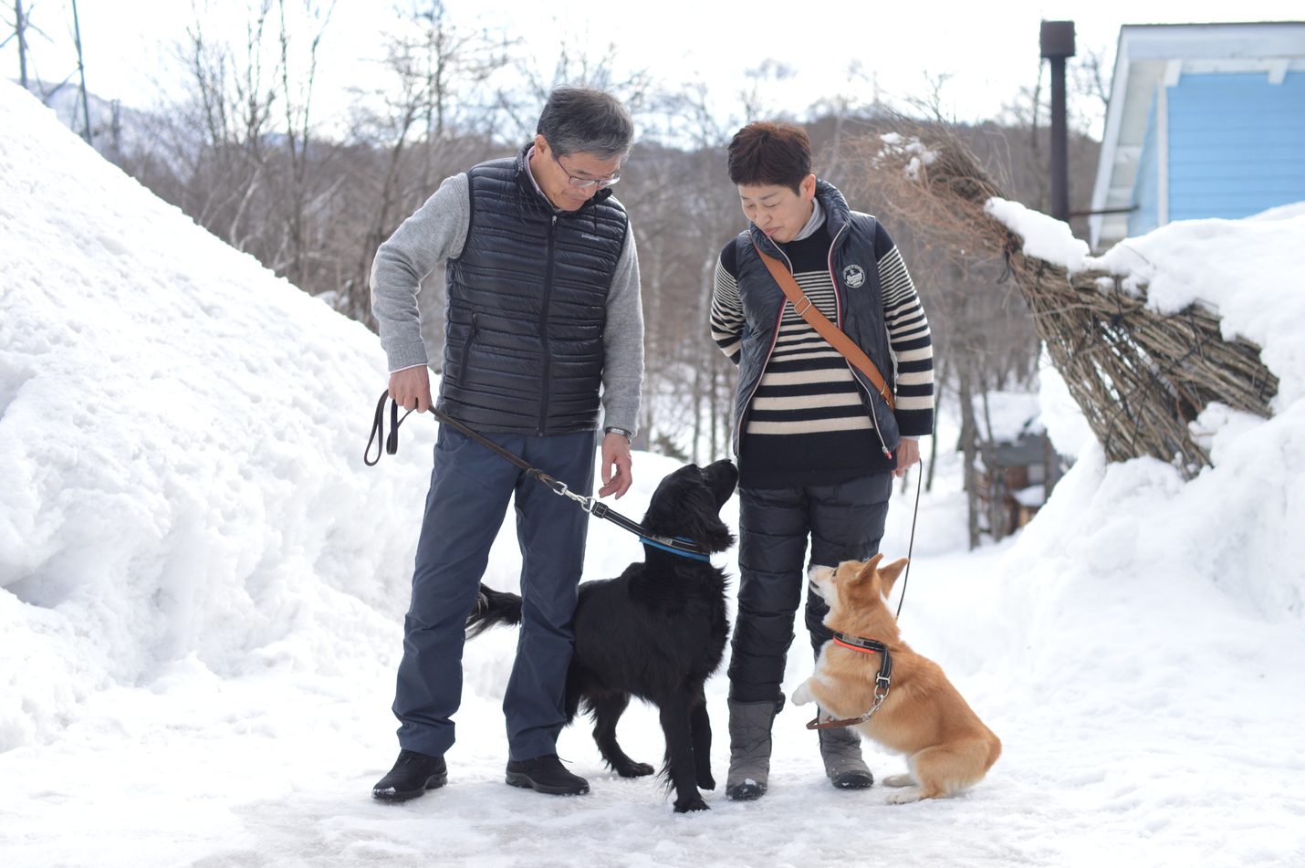 Dog-friendly Inn Hakuba Pension Alyeska