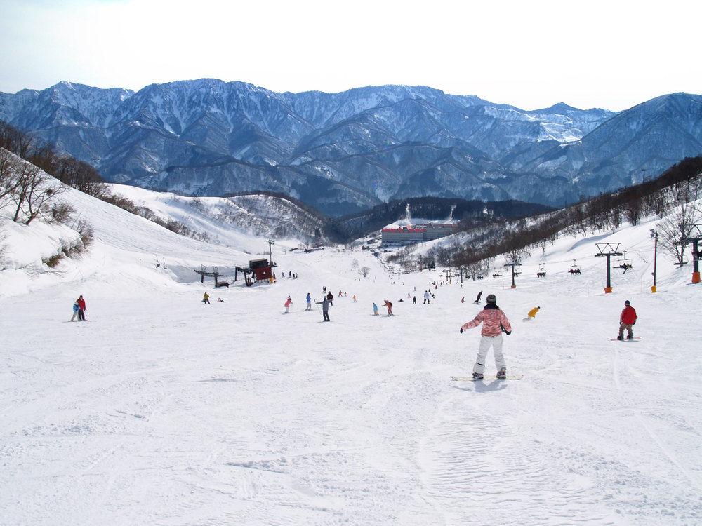 Green Plaza Hakuba