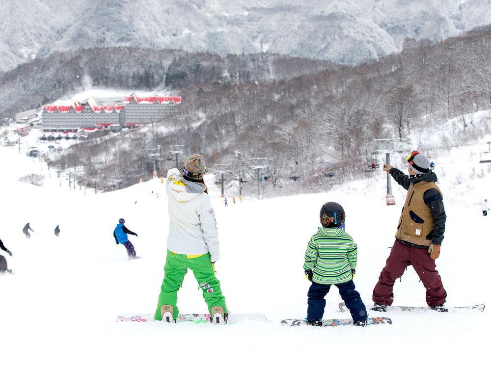 Green Plaza Hakuba