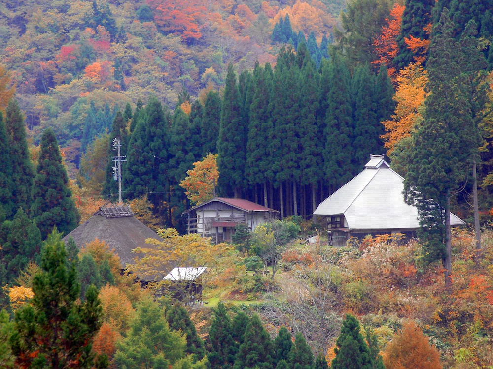 Green Valley Hakuba