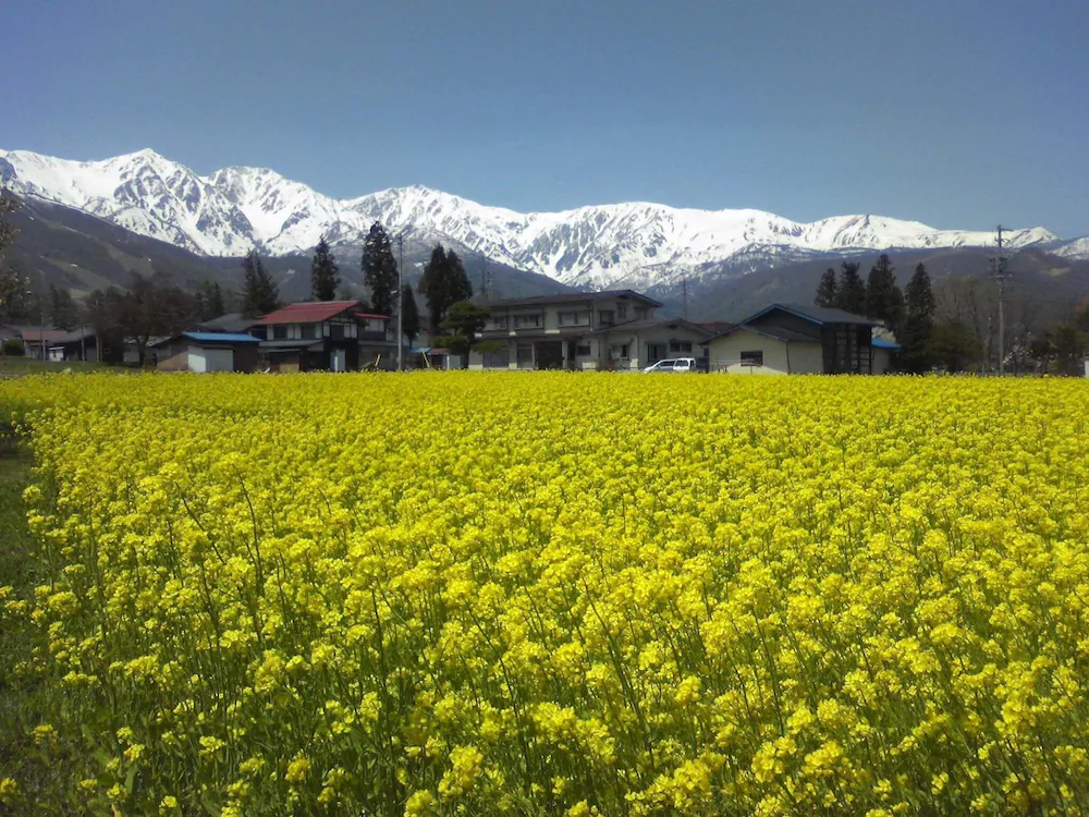 Green Valley Hakuba