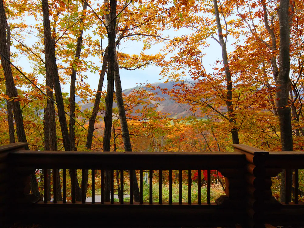 Green Valley Hakuba