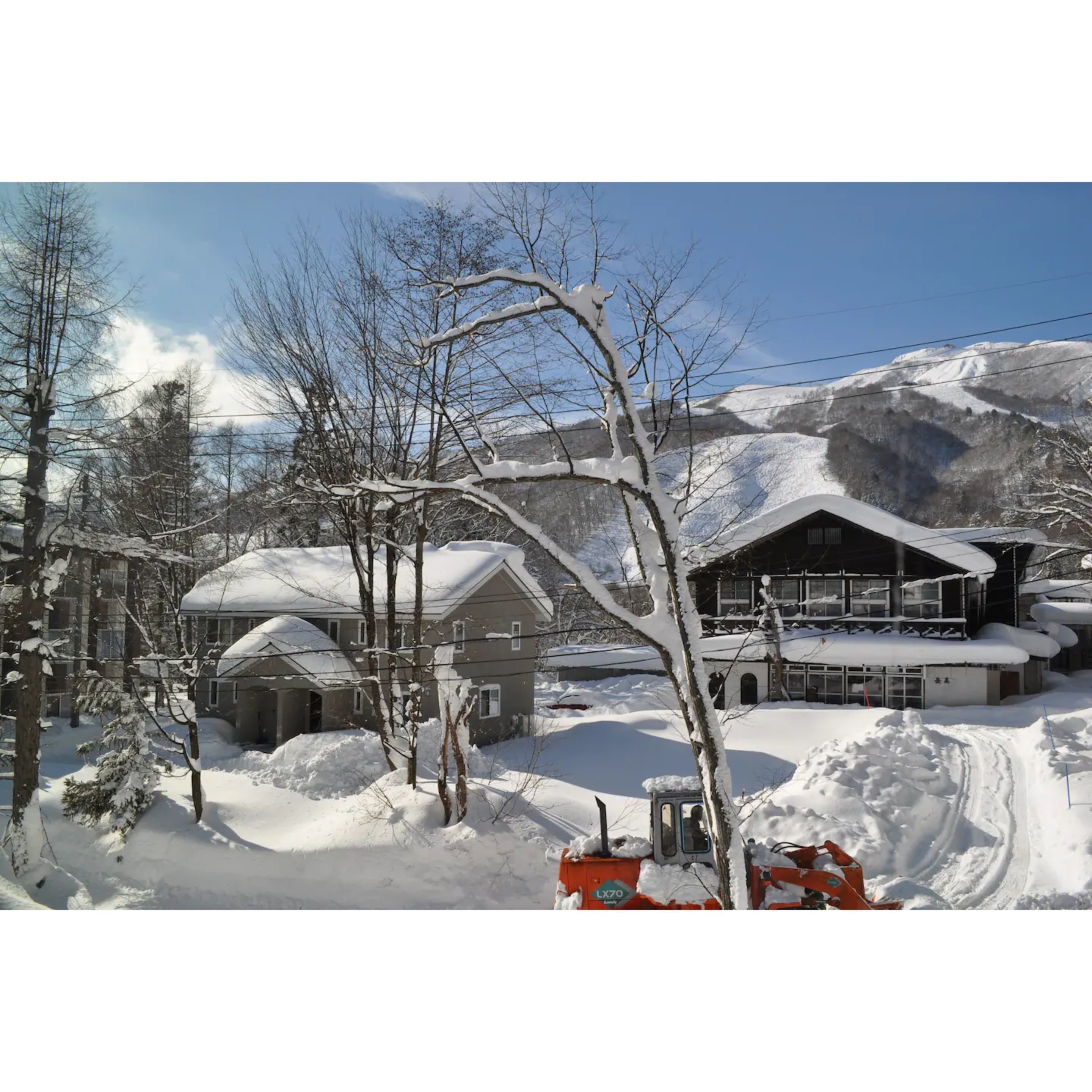 Hakuba Cat's Villa 3&4