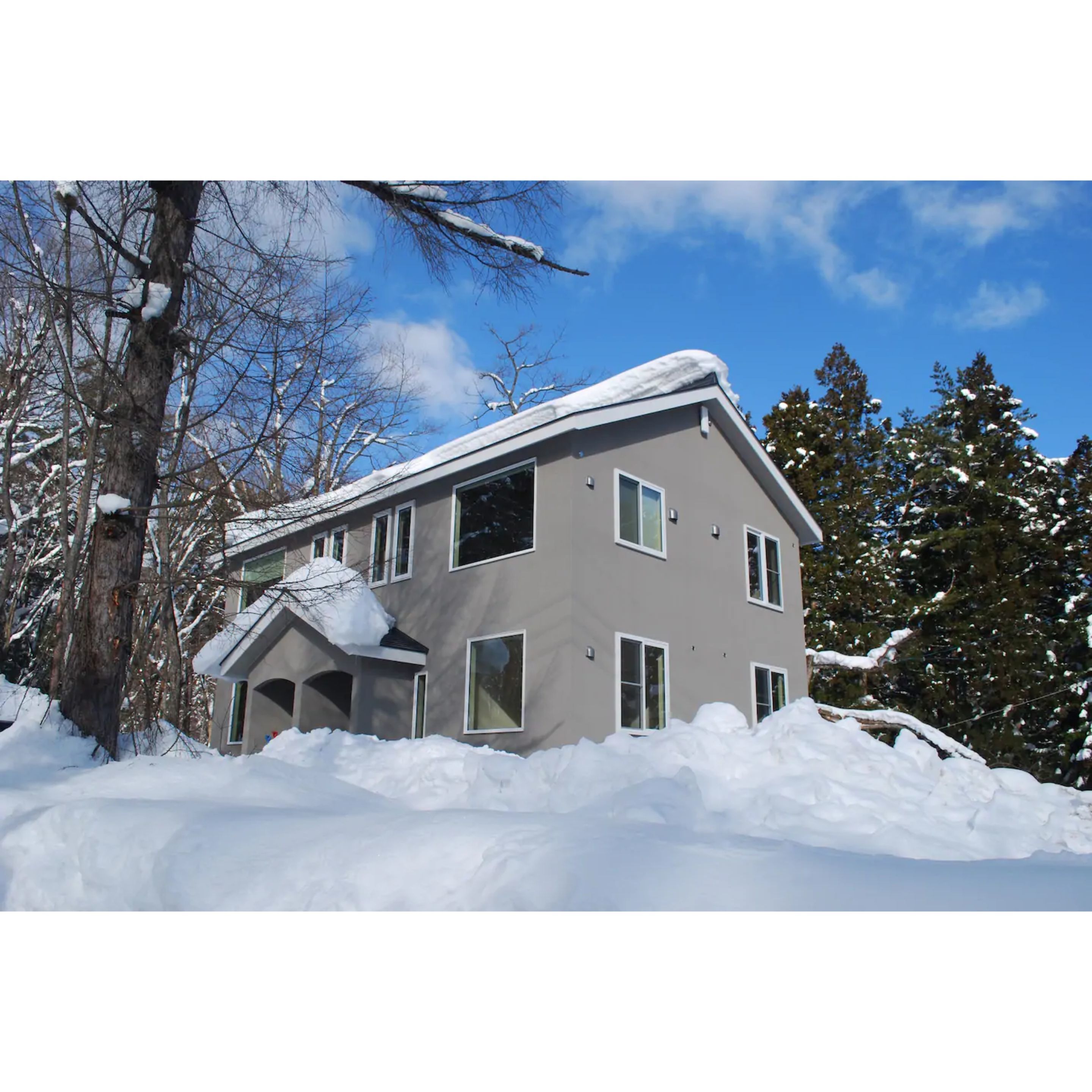 Hakuba Cat's Villa 3&4