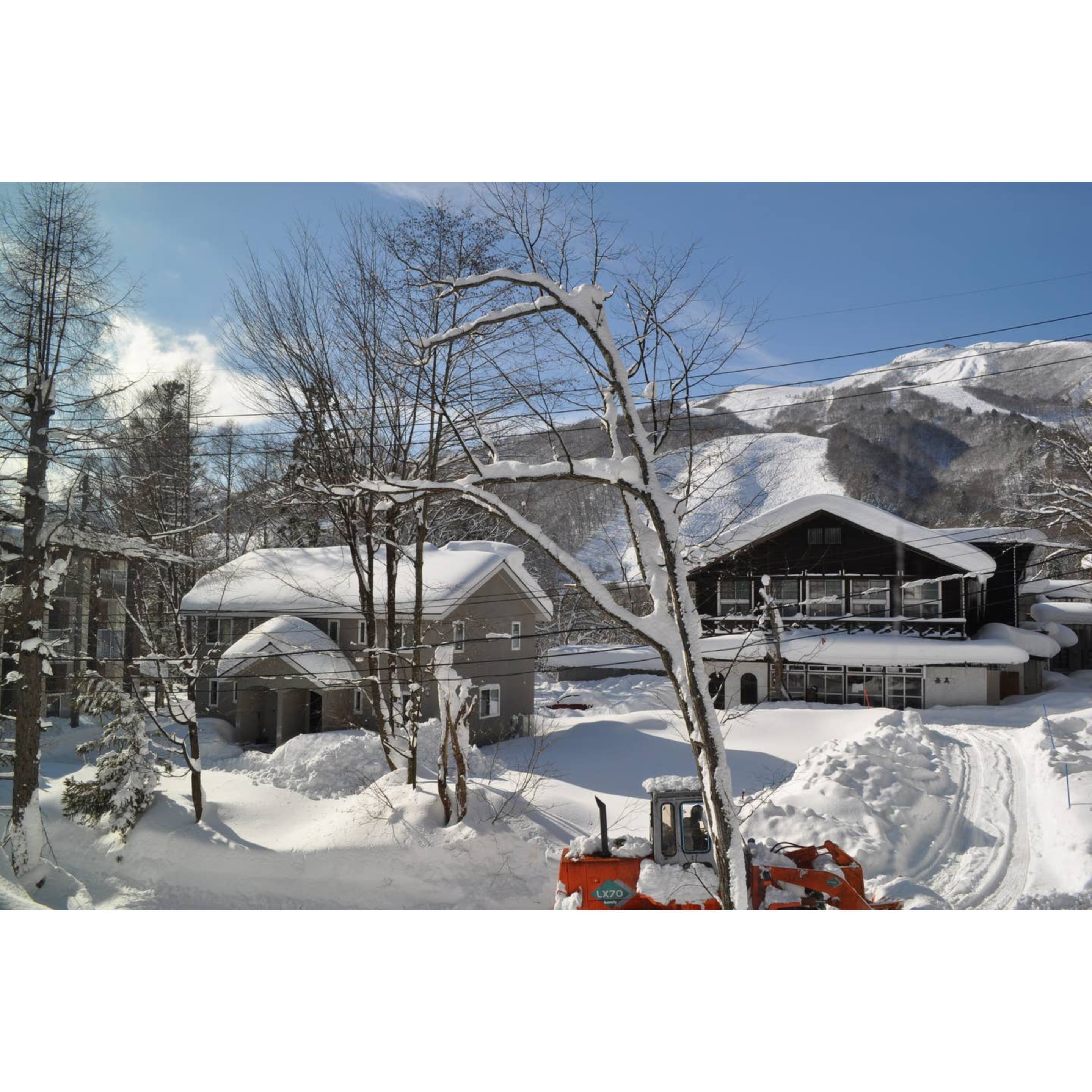 Hakuba Cat's Villa 3&4