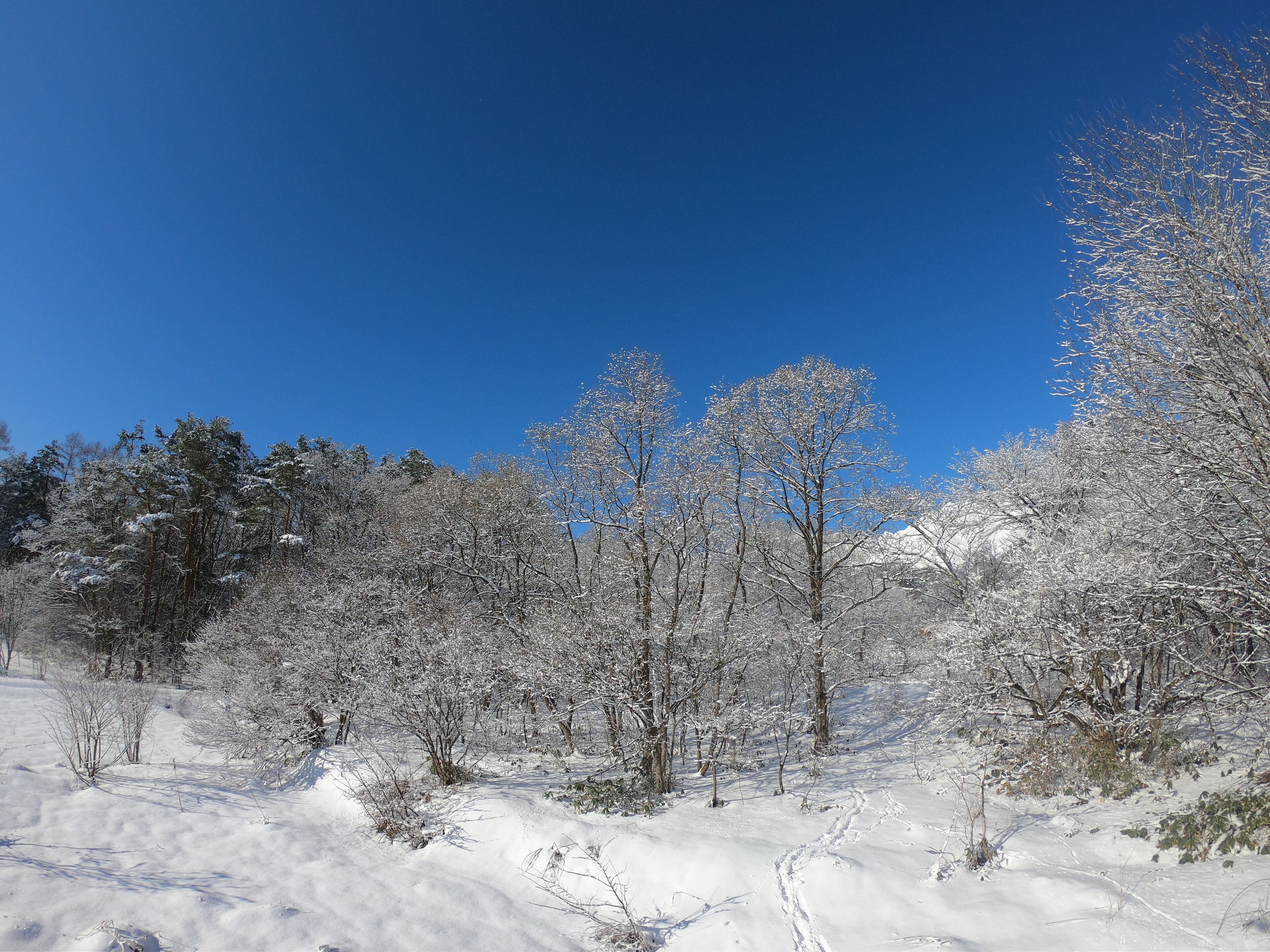 Hakuba Hokujo