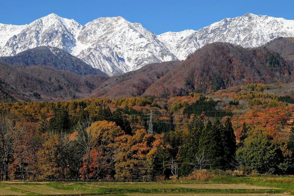 Hakuba Kokoro Hotel