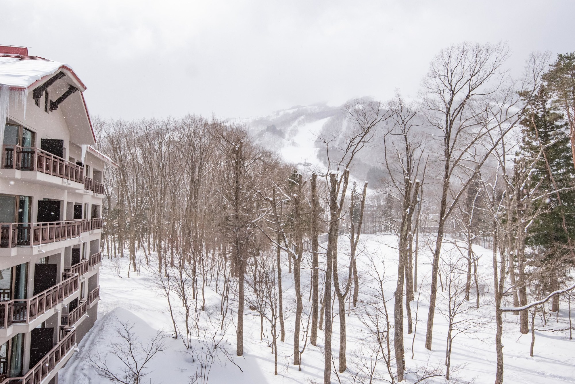 Hakuba Tokyu Hotel