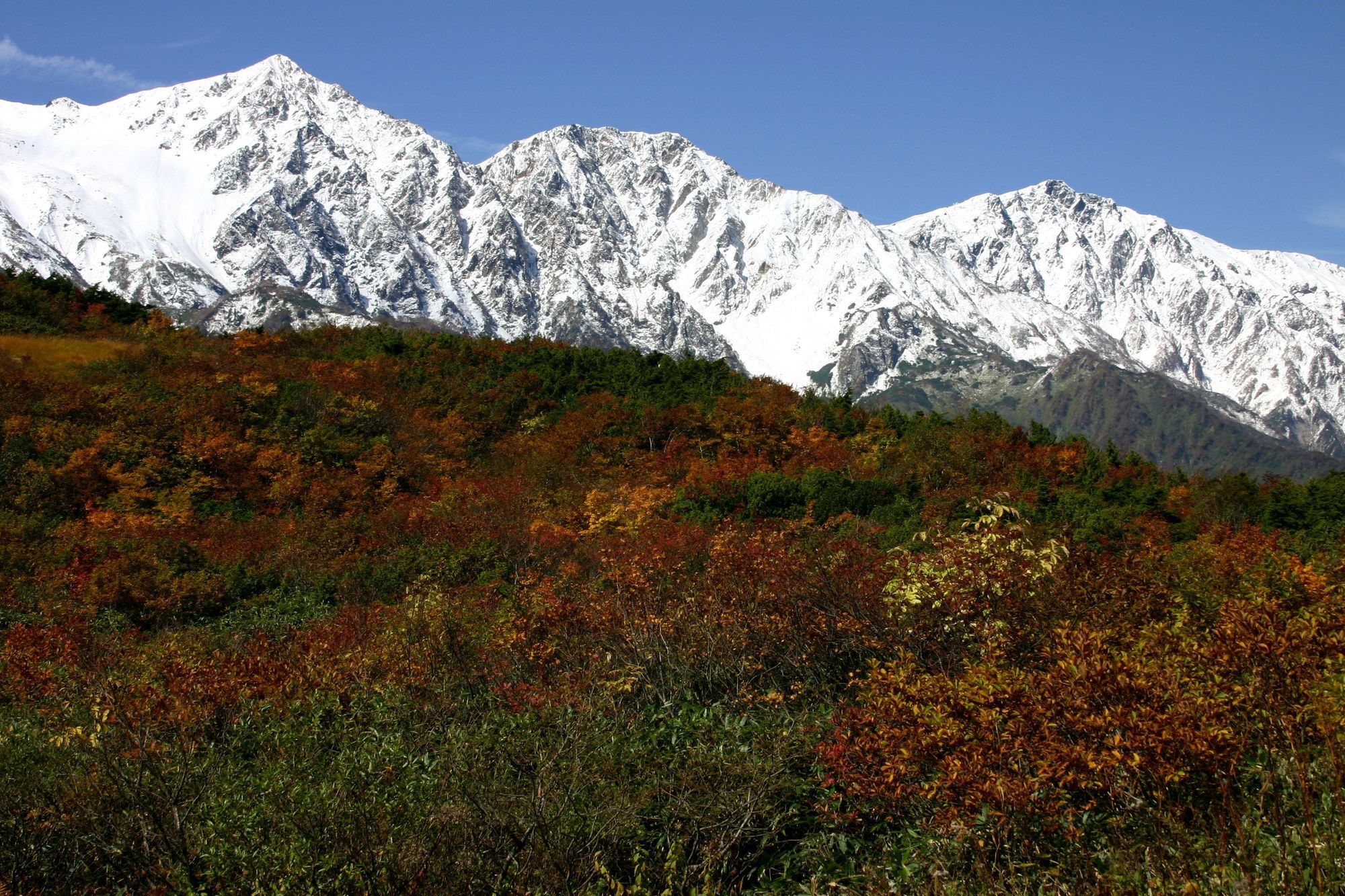Hakuba Tokyu Hotel