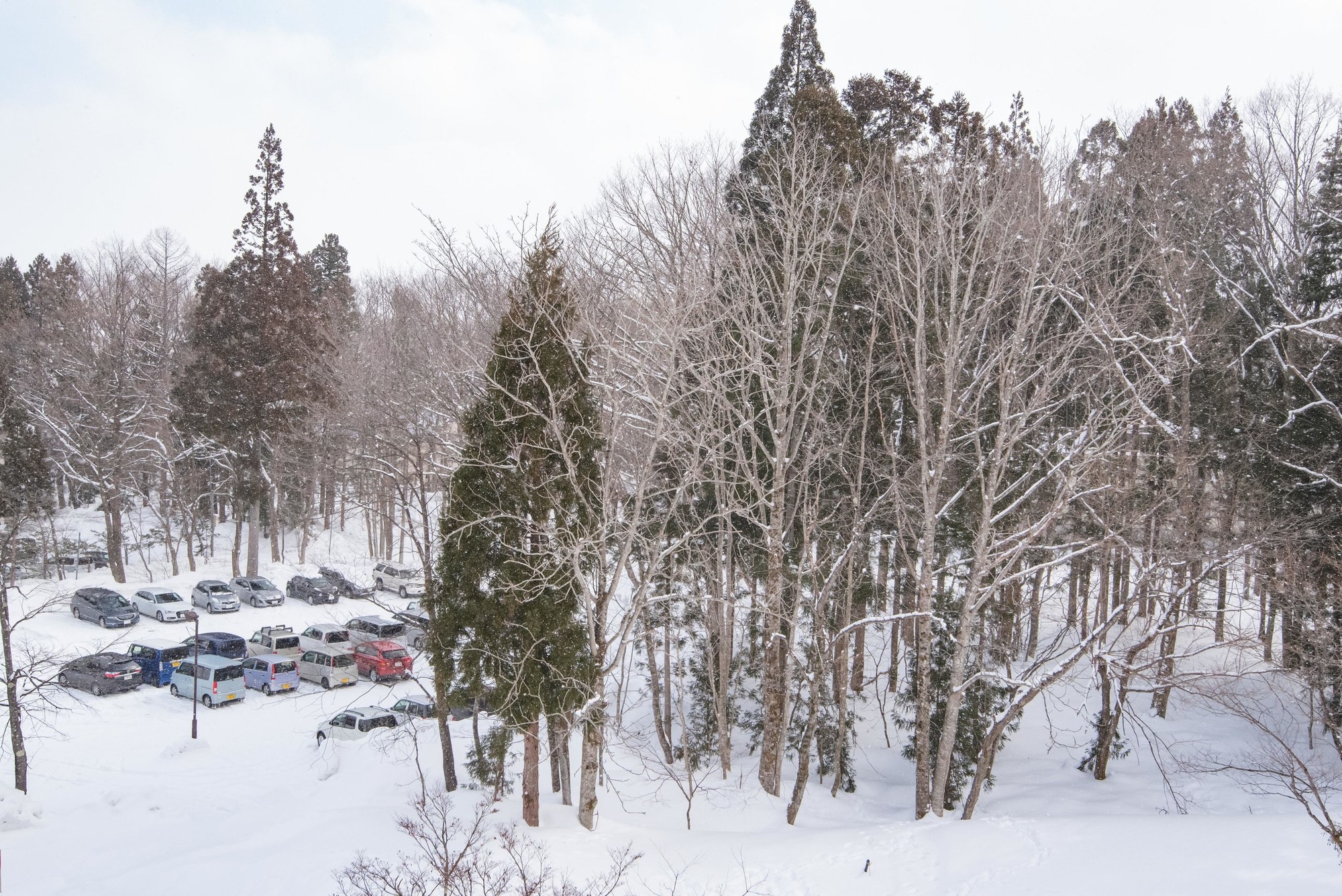 Hakuba Tokyu Hotel