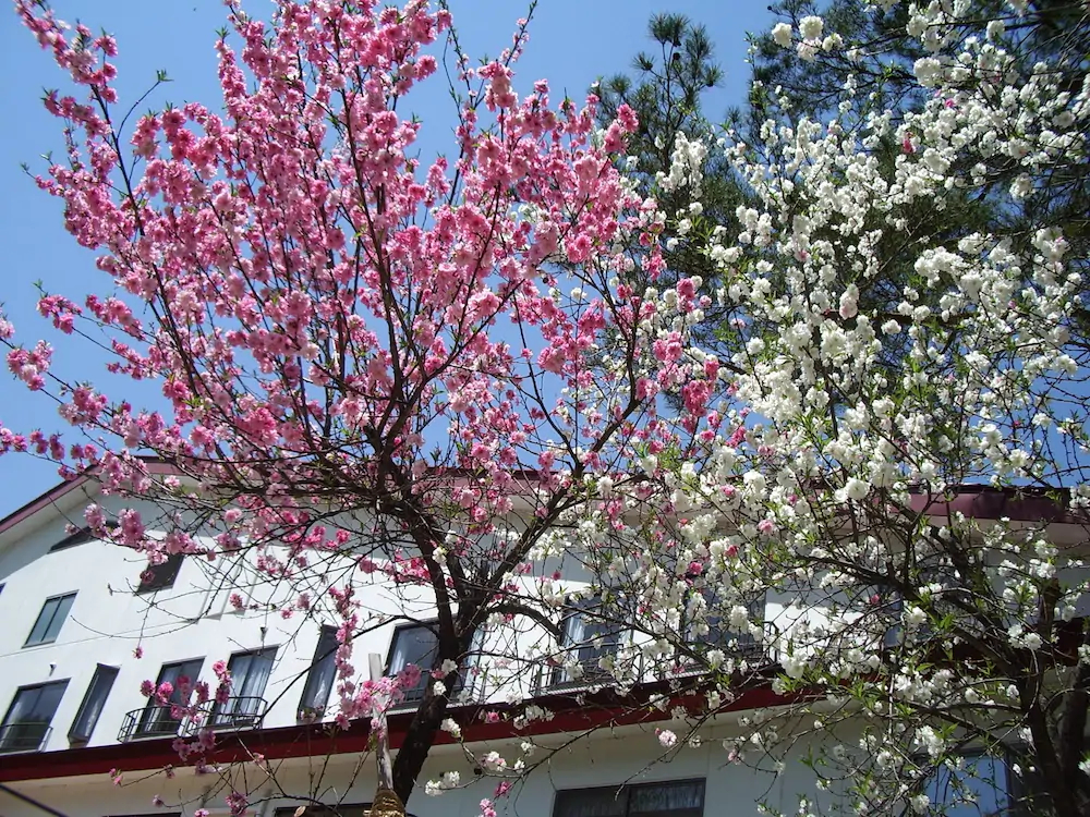 Hotel San Malte