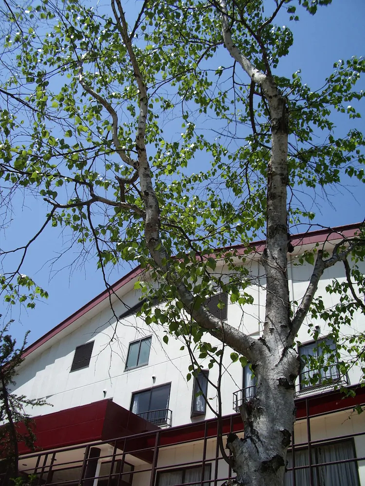 Hotel San Malte