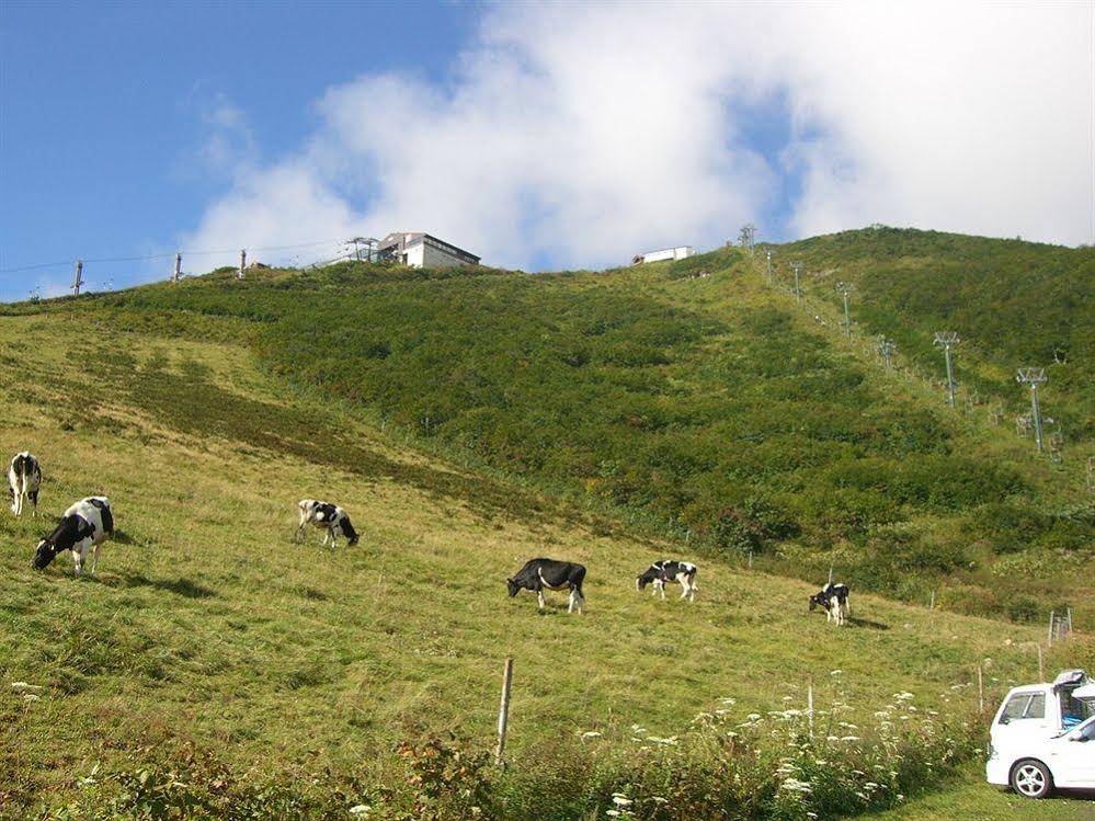 Il Bosco