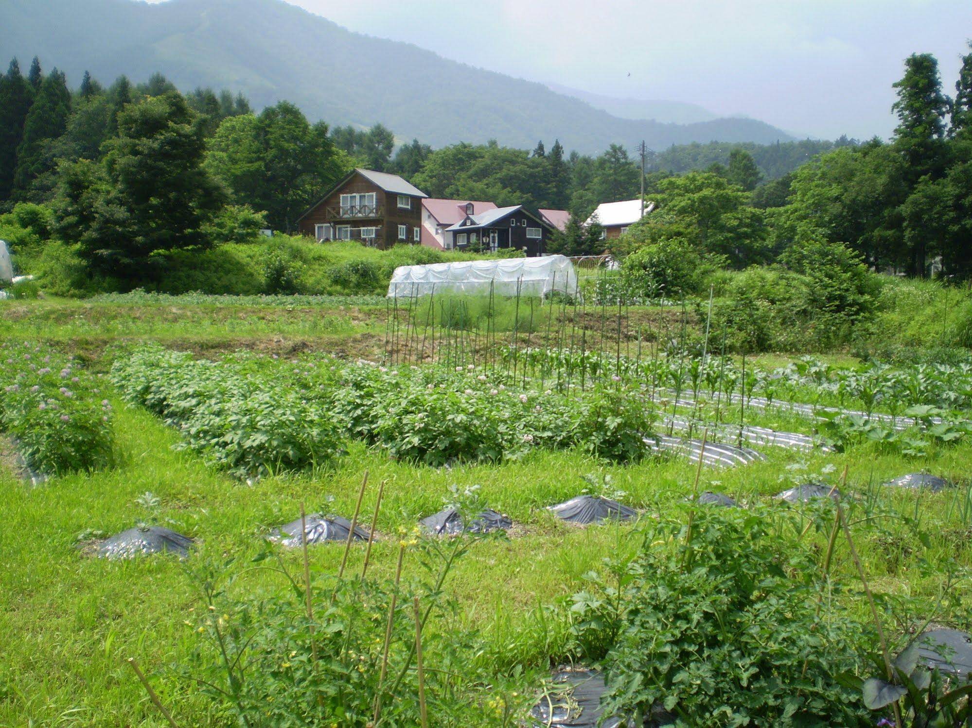 Pension Chauchau