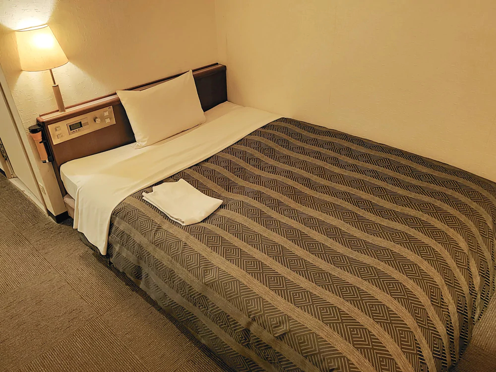 Hotel Ascent Hamamatsu