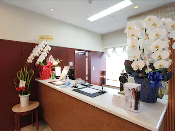 Hotel Livemax BUDGET Hamamatsu Ekimae